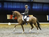 Chagall D-R 201113_1393